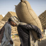 Wheat scandal: Three food officials dismissed for multi-million corruption