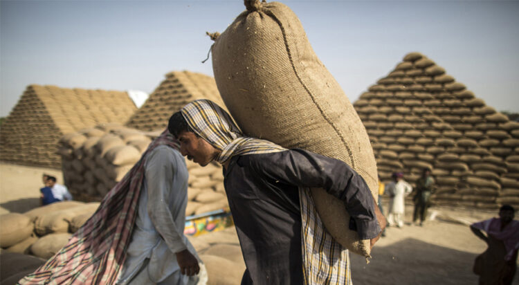 Wheat scandal: Three food officials dismissed for multi-million corruption