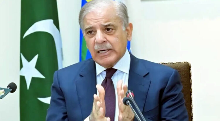 PM Shehbaz forms commission to assess Pakistan-India war losses