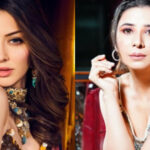 Hansika Motwani, family accused of domestic violence; FIR filed