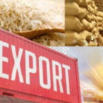 REAP Expresses Concern to Prime Minister Over Difficulties Faced by Rice Vessels at Port Qasim