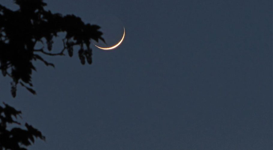 Islamic Ideological Council announces first fast on March 1
