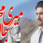 Who was Syed Jan Ali Rizvi?