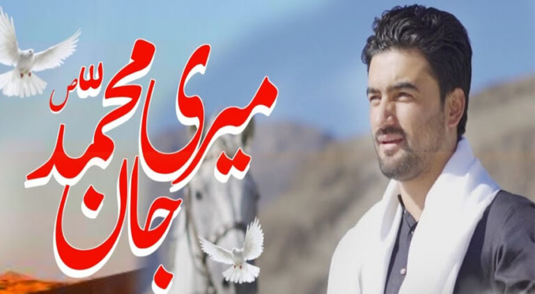 Who was Syed Jan Ali Rizvi?