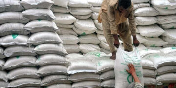 Sindh fixes price of 100kg flour bag at Rs9,500