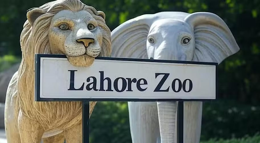 Lahore Zoo Ticket Holders to Get Free Entry to Qalandars’ Event