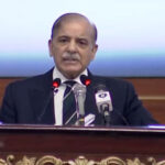 What is included in the PM’s welfare package for overseas Pakistanis?