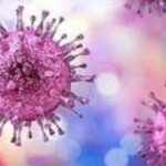 Quetta reports first Congo Virus death of 2025