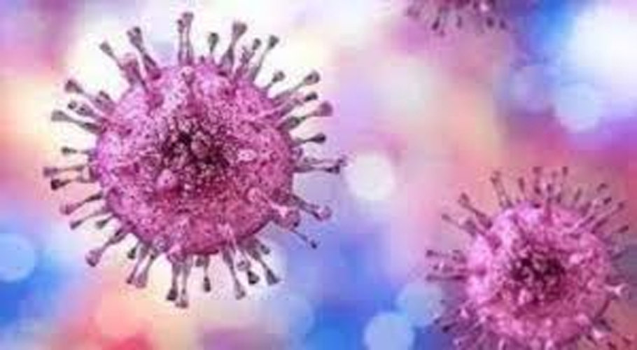Quetta reports first Congo Virus death of 2025