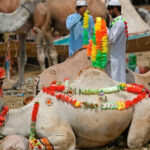 Celebrations of Eidul Adha, animal sacrifices continue on second day