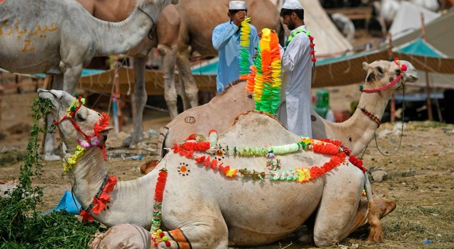 Celebrations of Eidul Adha, animal sacrifices continue on second day