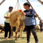 Govt likely to announce four Eidul Adha 2025 holidays