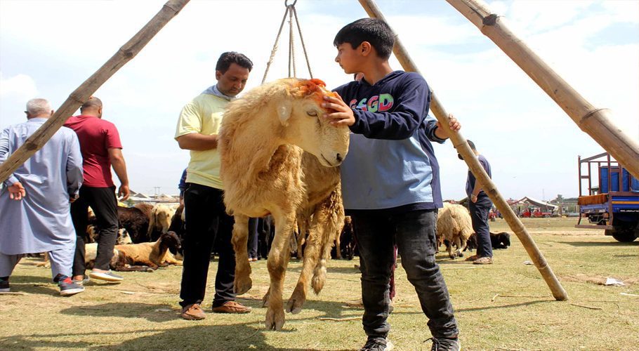 Govt likely to announce four Eidul Adha 2025 holidays