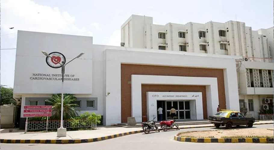 Plumber Appointed as Administrator at NICVD
