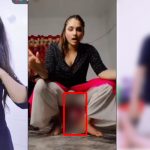 Resolution Submitted in Punjab Assembly Seeking Ban on TikTok