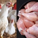 Chicken to go more expensive as govt okays Rs36b more taxes to meet IMF demands
