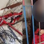 Lahore woman arrested for killing animals, posting graphic content online