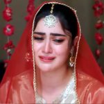 Raaja Rani - Episode 24