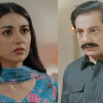 pakistani drama sher episode 19