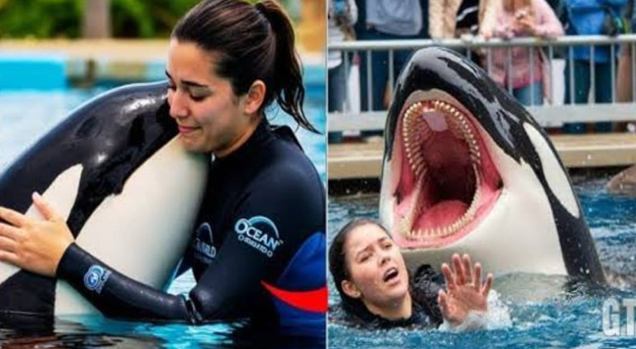 Truth behind ‘fish attack’ on Jessica Radcliffe revealed