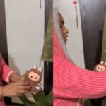 Hindus in India begin worshipping ‘Labubu Doll,’ viral video sparks laughter online