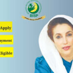 بے نظیر انکم سپورٹ پروگرام کا اشتہار