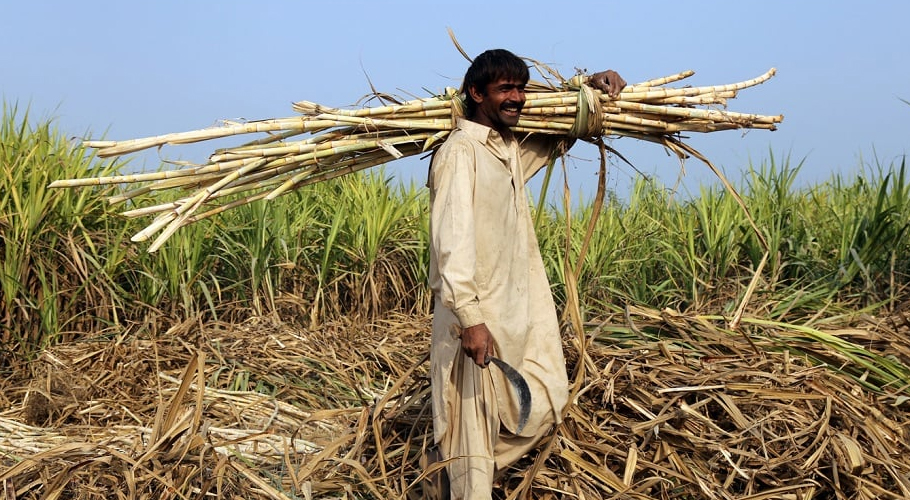 Sugar mills owe farmers over Rs3 billion: Audit report