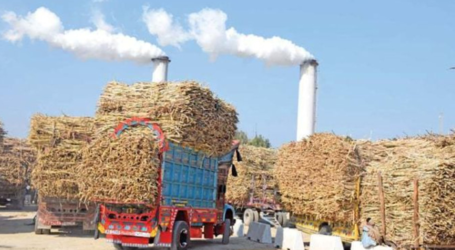 گنوں کے ٹرک شوگر ملز کی طرف رواں دواں