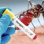 Two more die of dengue in Karachi as cases surge across Sindh