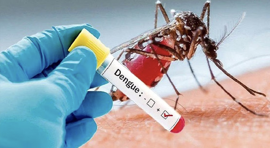 Two more die of dengue in Karachi as cases surge across Sindh