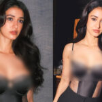 Disha Patani did a photoshoot in a net bralette dress