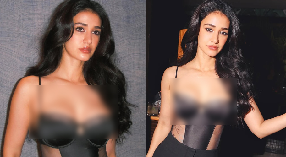 Disha Patani did a photoshoot in a net bralette dress