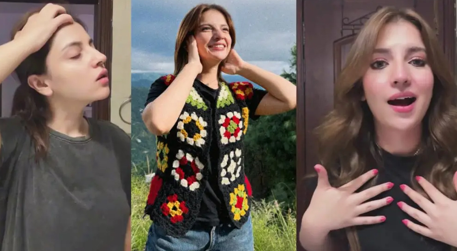 Internet Trolls Dananeer Mobeen’s Latest Video