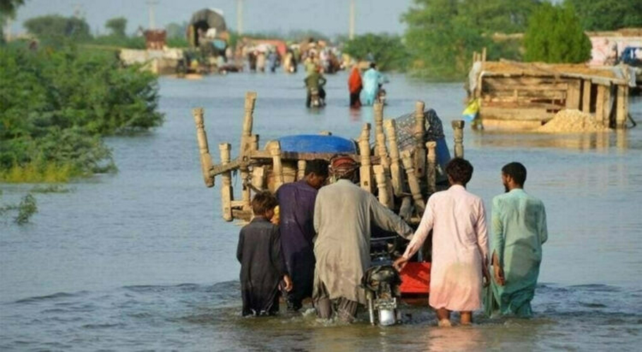 Devastating floods hit Sutlej River as India releases excess water, Southern Punjab submerged
