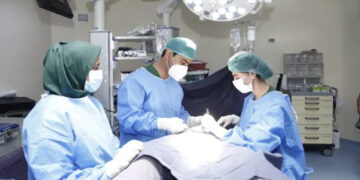 Cancer cured in 60 minutes, Pakistan launches first advanced coablation treatment