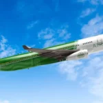 Pakistan is Getting Another Airline After Punjab Govt’s Latest Decision