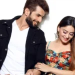 Jay Bhanushali and Mahhi Vij Divorce Rumors