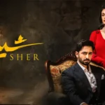You won’t find finale episode of Sher on YouTube