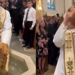 Italian Priest’s Cat Baptism Goes Viral After Chaos in Church
