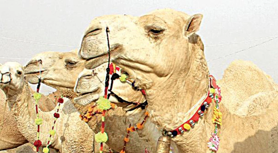 خطرناک بیماری