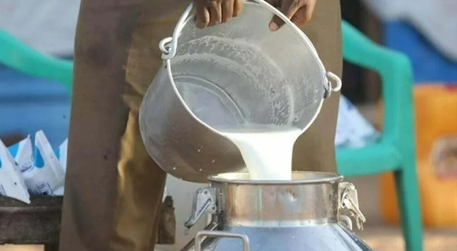 Milk price holds steady in Karachi