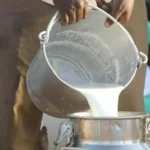 دودھ