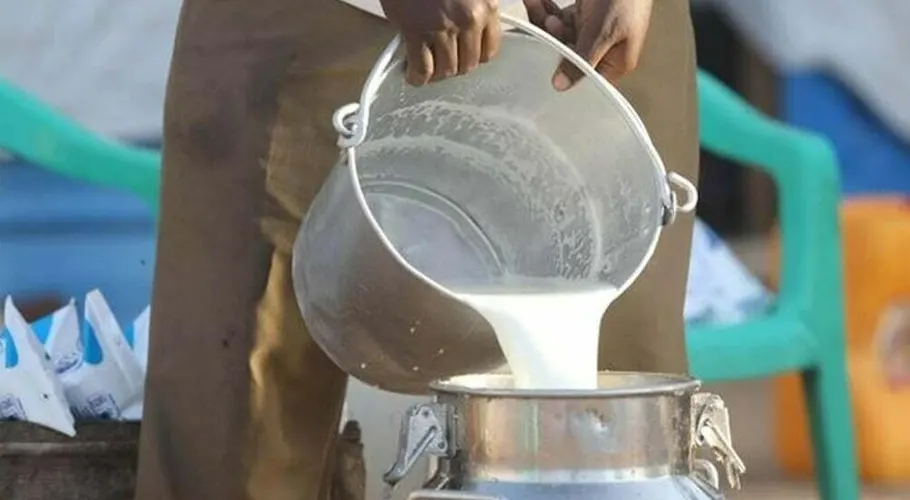 دودھ