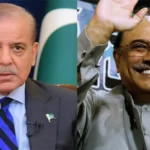 شہباز شریف اور زرداری