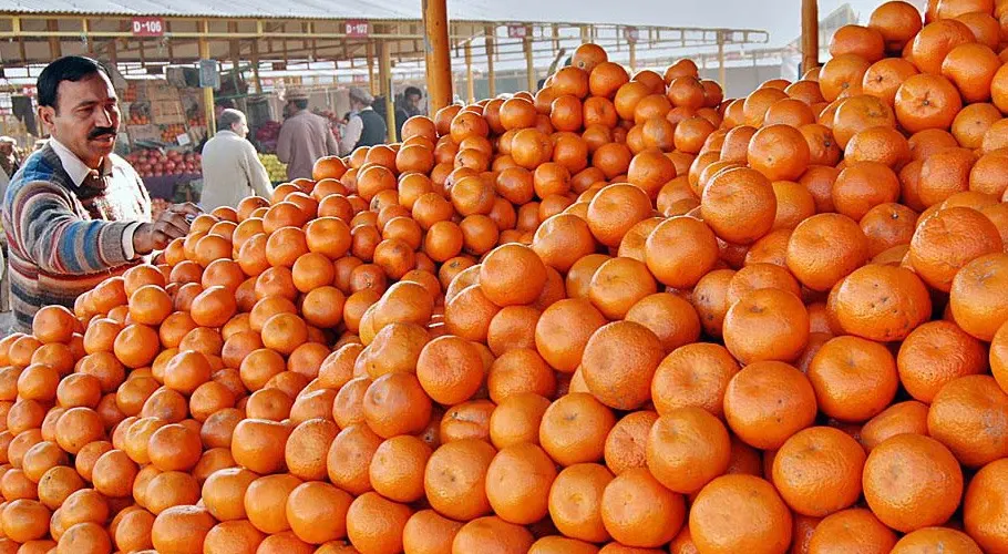 کینو