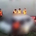باراتیوں کی گاڑی