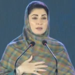 مریم نواز
