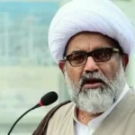 راجہ ناصر عباس