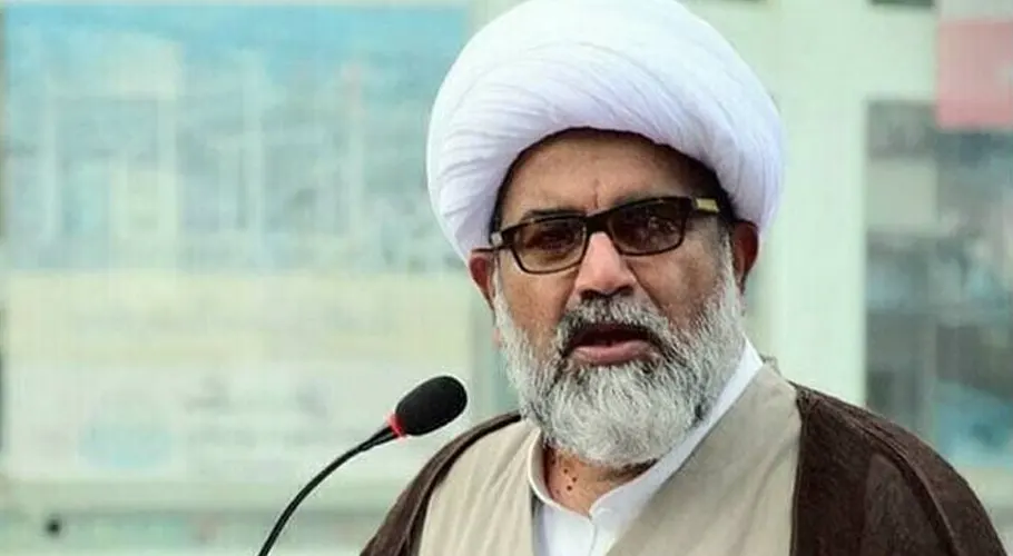 راجہ ناصر عباس