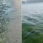 سمندر کا پانی